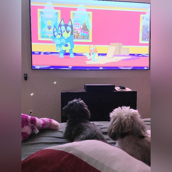 Relaxing - Picture 1 of 1